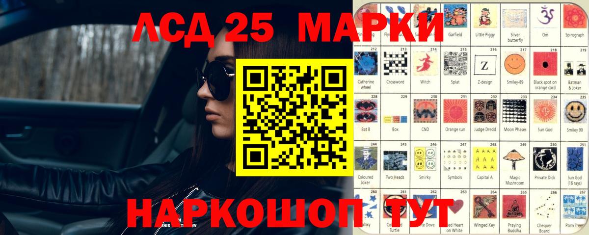 Псилоцибиновые грибы Улан-Удэ